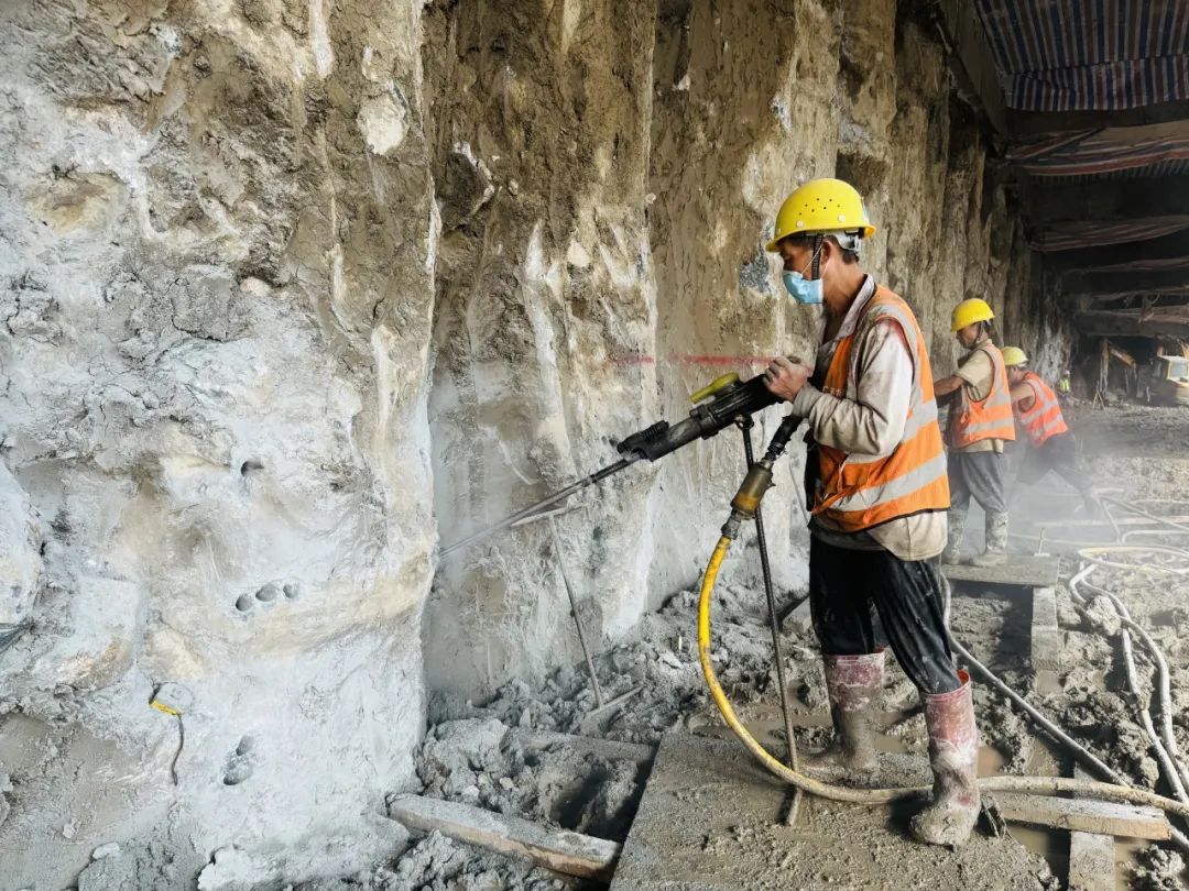 1732179144732605.jpg 40.jpg